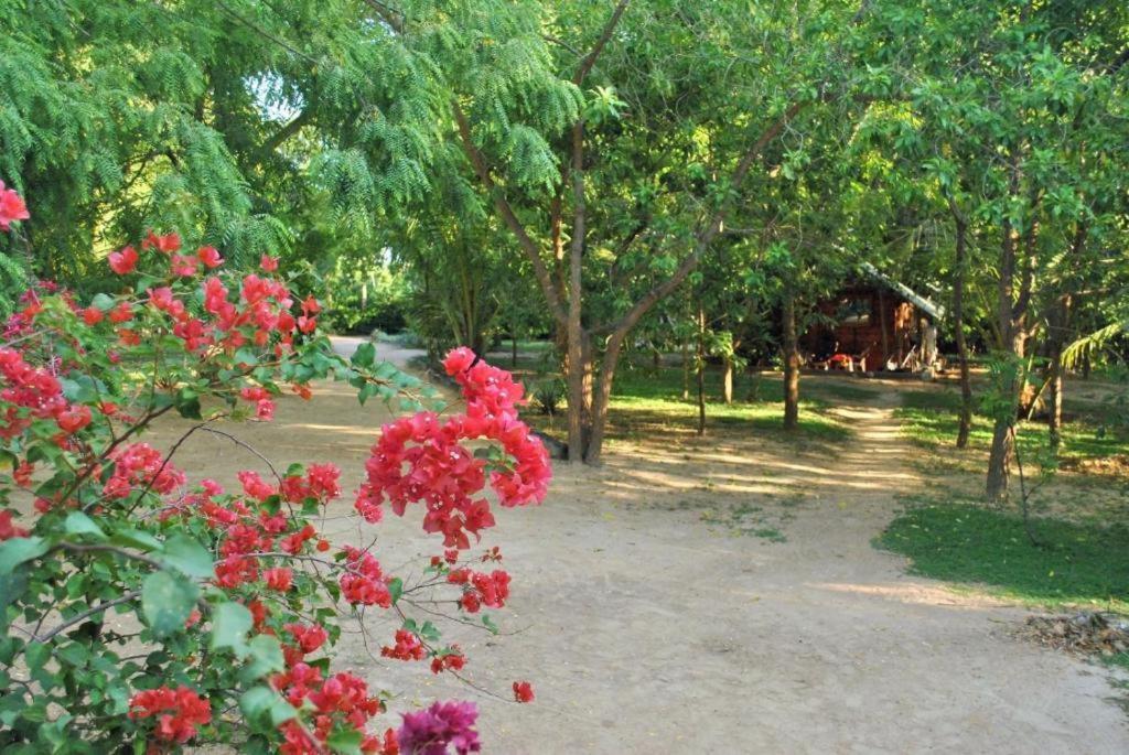 Turtles View Resort Тангалла Экстерьер фото